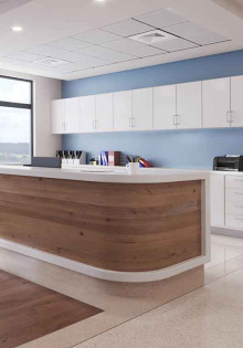 Зеленая черепаха: что можно положить на её тарелку?