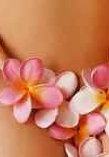 Ящерицы: Удивительные создания с множеством секретов