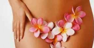 Ящерицы: Удивительные создания с множеством секретов