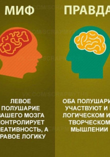 Стимуляторы работы мозга: мифы и реальность