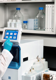 Толстохвостый скорпион: загадка древнего мира