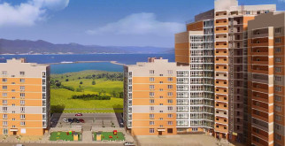 Куланы: Дикие лошади, которые покоряют сердца