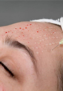 Попугаи в Индии: Яркие Пернатые Друзья Многообразия