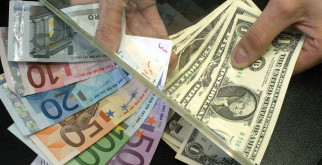 Погружение в мир обезьян: как раскрыть их красоту через фотографию