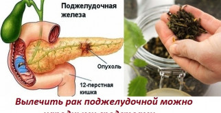 Мангобей: Легенда дикой природы и ее удивительная жизнь