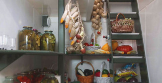 Коростель: загадочная птица болот и её удивительные привычки