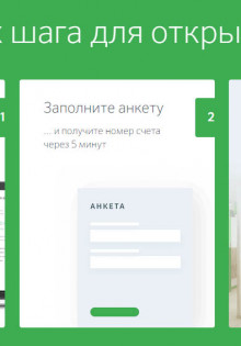 Очарование тушканчиков: маленькие исследователи пустынь