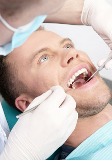 Птицы с желтым клювом: удивительное разнообразие и их загадочные привычки