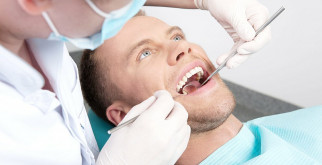 Птицы с желтым клювом: удивительное разнообразие и их загадочные привычки