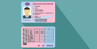 Курганник: Птица, Чей Роман С Природой Удивляет Каждый День