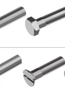 Какой размер утки: все, что вам нужно знать об этих удивительных птицах