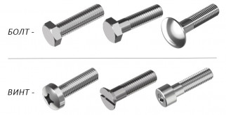 Какой размер утки: все, что вам нужно знать об этих удивительных птицах