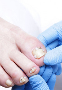 Лунь полевой: тайный охотник полей и лугов