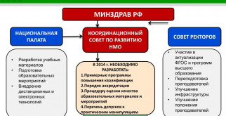 Кашалот: Непостижимый гигант океанов