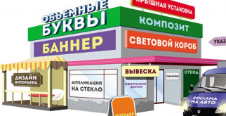 Сколько зубов у черепахи? Разбираемся в особенностях этих удивительных созданий
