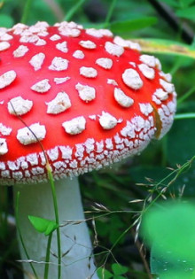 Аднексит: причины, симптомы и лечение