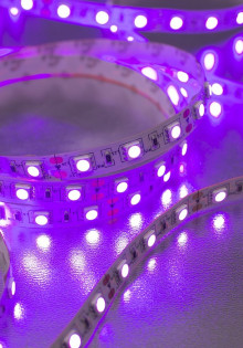 Что такое candida albicans у женщин в мазке при беременности?