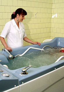 Секреты дикой природы: удивительные животные Южной Америки