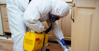 Компания СанСлужба — профессиональная обработка от плесени