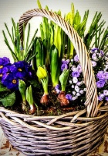 Цветы в корзине: популярные композиции