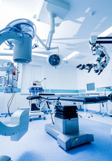 Почему бобры строят плотины: удивительный мир лесных архитекторов