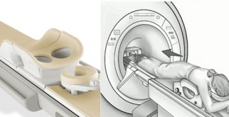 Удивительный мир обезьян: знакомство с двумя уникальными видами