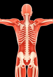 Когда тело подает сигналы: мышечная дистония, гипертония и гипотония — как понимать и жить дальше
