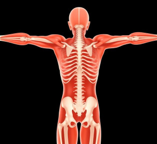 Когда тело подает сигналы: мышечная дистония, гипертония и гипотония — как понимать и жить дальше