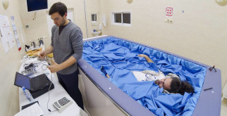 Снежные стражи полей: Все о белых гусях