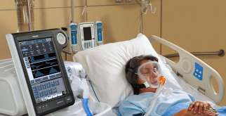 Журавль красавка: удивительный символ природной элегантности