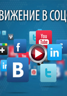 Степной кот: загадочный хищник наших просторов