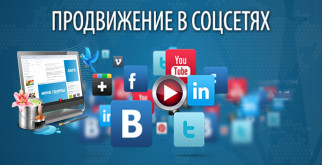 Степной кот: загадочный хищник наших просторов