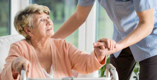 Хохлатый перепел: Птица, способная удивить своим великолепием