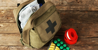 Полевка водяная: тайны жизни подводного грызуна