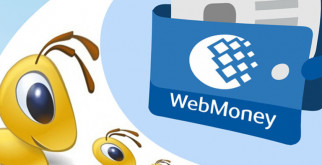 Нужны ли данные о зарплате для получения кредита Webmoney