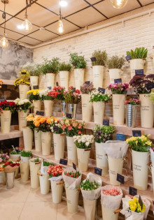 Инволюция молочных желез: что это такое и как это влияет на здоровье