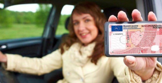 Узнаем, где обитают пингвины: волшебный мир этих знаменитых птиц