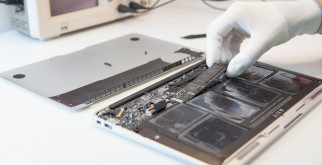 Удивительный мир краснокнижных животных: кто они и почему их нужно защищать?