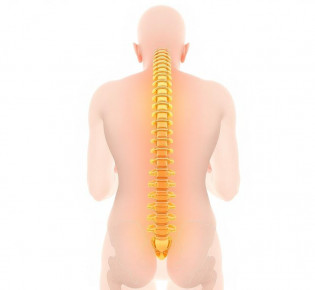 Спина и суставы без страха: как лечить, что работает и чего ожидать