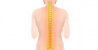 Спина и суставы без страха: как лечить, что работает и чего ожидать