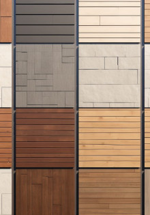 Загадочная черная птичка с желтым клювом: кто она?