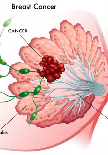 Афалины: Очаровательные жители океана и их среда обитания
