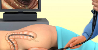 Красная книга России: Защита уникальных видов и их значение для экосистемы