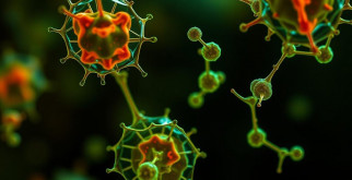 Биомаркеры: ключ к точной диагностике и новому уровню медицины