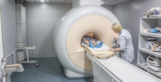 Удивительный мир млекопитающих: от крошечных до гигантских