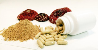 Косули: Очарование лесных граций