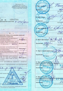 Ежи: Маленькие Шершавая Клубочки Удовольствия и Загадок