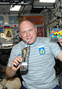 Необыкновенные дятлы: Образы и привычки королей леса