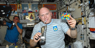 Необыкновенные дятлы: Образы и привычки королей леса