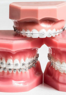 Длиннохвостая синица: Природный акробат с ярким характером